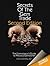 Secrets of the Gem Trade by Richard W. Wise