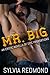 Mr. Big: An Erotic Novella of Epic Proportions