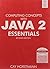 Wiley India Computing Concepts with Java 2 Essentials