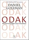 Odak: Mükemmelliğ...