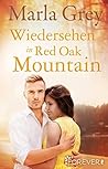 Wiedersehen in Red Oak Mountain: Roman