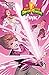 Mighty Morphin Power Rangers: Pink #6