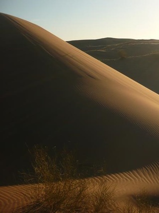 El hachador de Altos Limpios [Cuento] (Unknown Binding)