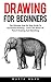 Drawing For Beginners: The Ultimate Step By Step Guide To Successful Drawing - Learn The Basics Of Pencil Drawing And Sketching!