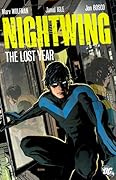 Nightwing: The Lost Year