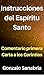 Instrucciones del Espíritu Santo: Estudio de la 1a Carta a los Corintios (Cartas del apóstol Pablo nº 2) (Spanish Edition)