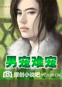 男妃难宠 (ebook)