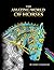 The Amazing World of Horses