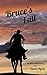 Bruce's Fall: A Romantic Suspense Novel (Abby's Road Book 1)