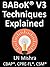 BABoK V3 Techniques Explained by L.N. Mishra