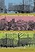 The Environment and the People in American Cities, 1600s-1900s by Dorceta E. Taylor