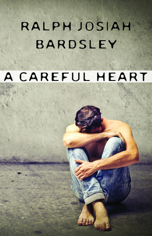 A Careful Heart (Paperback)