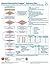 Neonatal Resuscitation Program Reference Chart (NRP)