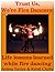 Trust Us, We're Fire Dancers! Life Lessons learned from Fire ... by Astrea Taylor