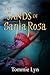 The Sands of Santa Rosa