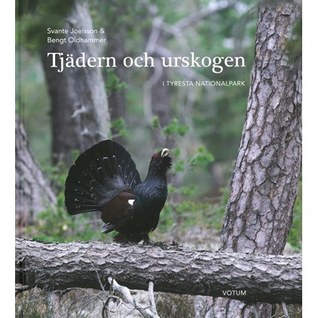 Tjädern och urskogen:  i Tyresta nationalpark