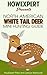 North American Whitetail Deer Mini Hunting Guide