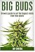 Big Buds, Growers guide to get the biggest yields from your p... by Jay Cheeba