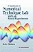 A Handbook on Numerical Technique Lab: Matlab Based Experiments