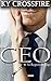 CEO: As Regras Do Jogo (Entregando-se ao prazer Livro 1) (Portuguese Edition)