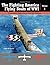 The Fighting America Flying Boats of WWI, Vol. 1: A Centennial Perspective on Great War Airplanes (Great War Aviation Centennial Series)