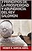 EL SECRETO DE LA RIQUEZA DEL REY SALOMON: Los 7 Principios de la Prosperidad y Abundancia (Spanish Edition)