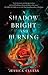 A Shadow Bright and Burning (Kingdom on Fire, #1)
