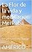 La Flor de la vida y meditacion Merkaba: Despertando el corazón (Spanish Edition)