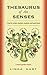 Thesaurus of the Senses (a word garden series)