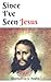 Since I've Seen Jesus: The story behind a remarkable appearance from Jesus and the fundamentals of getting to know Him