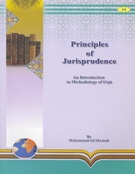 Principles of Jurisprudence (Paperback)