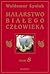 Malarstwo białego człowieka (MBC, #8)