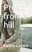 Preach from a hill by Lewis Green