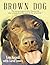 Brown Dog
