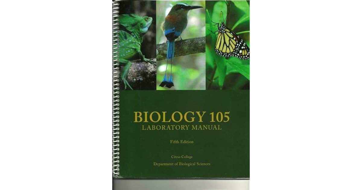 Biology 105 Laboratory Manual Spiral Bond by Rabitoy