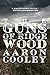 The Guns of Ridgewood: A Western of Modern America (The Sour Series, #2)