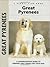 Comprehensive Owner's Guide : Great Pyrenees