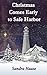 Christmas Comes Early to Safe Harbor by Sandra Haase