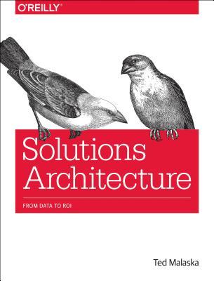 Solutions Architecture: From Data to ROI (Paperback)