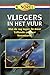 Vliegers in het vuur
