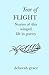 Year of Flight