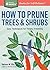 How to Prune Trees & Shrubs: Easy Techniques for Timely Trimming