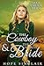 The Cowboy & the Heiress Bride (Mail Order Brides #2)
