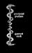 Pserpent Psalms