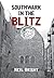 Southwark in the Blitz