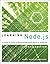 Learning Node.js: A Hands-On Guide to Building Web Applications in JavaScript