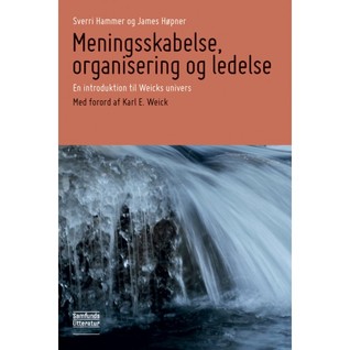 Meningsskabelse, organisering og ledelse - en introduction til Weicks univers