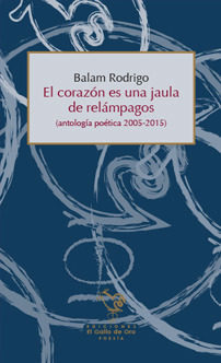 El corazón es una jaula de relámpagos (Paperback)