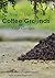 How to Use Coffee Grounds in Your Garden :A fabulous source of organic matter right at your fingertips