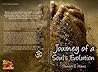 Journey of a Soul's Evolution Book cover for Journey of a Soul's Evolution